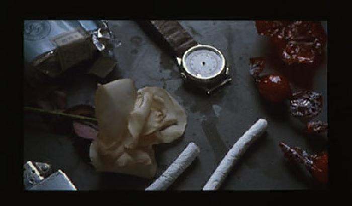 Biennale di Venezia: a caccia di ILLUMInazioni!