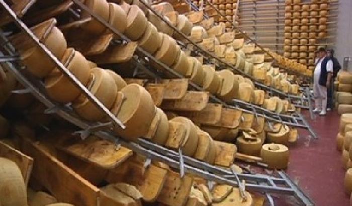 Parmigiano terremotato alle sedi diplomatiche
