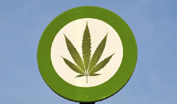 In Uruguay marijuana di Stato