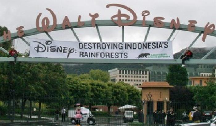 008709-NEWS_64090 La Disney contro la deforestazione