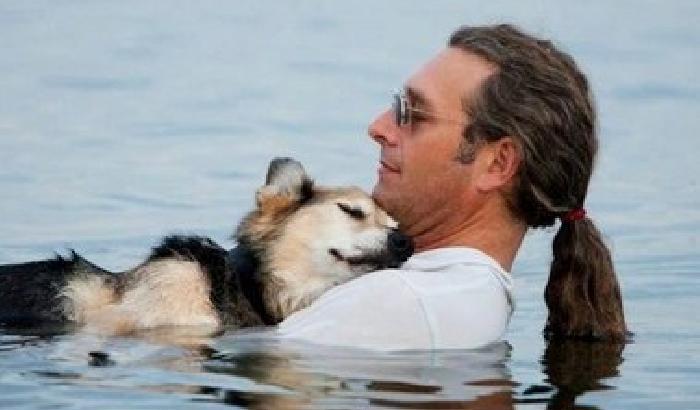 Addio Schoep, il cane che dormiva nel lago per i dolori