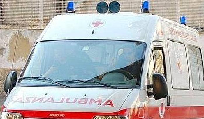 Azzannata dal proprio cane: un'anziana muore a Frosinone