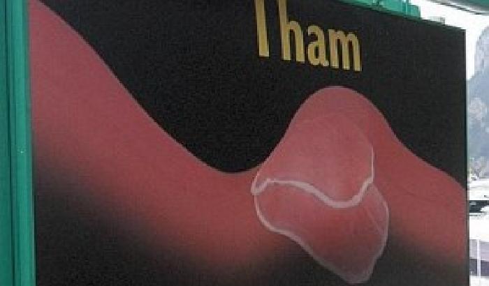 00C54E-NEWS_99512 Capri, manifesto shock al porto