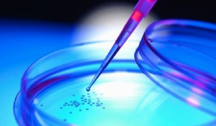 No al metodo Stamina per Noemi