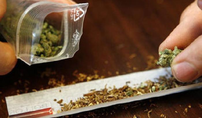 Torino dice sì (simbolico) all'uso della cannabis