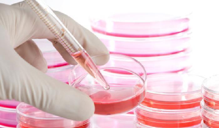 00CE7D-NEWS_104709 Stamina: tre esperti esclusi dal comitato ministeriale