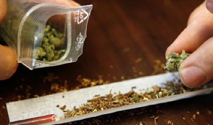 00DEAC-NEWS_114069 Lugano: i giovani liberali radicali per la legalizzazione della marijuana