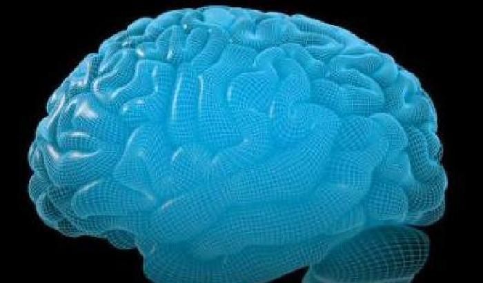 00E346-NEWS_116790 Cervello: ecco perché non vediamo i piccoli cambiamenti