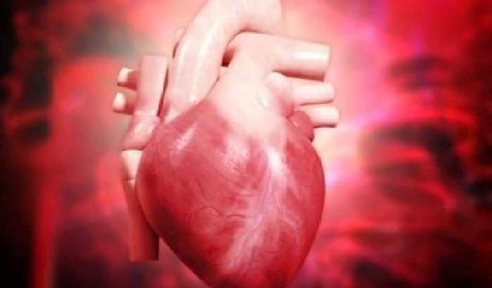 Creati dei mini cuori umani per testare nuovi farmaci