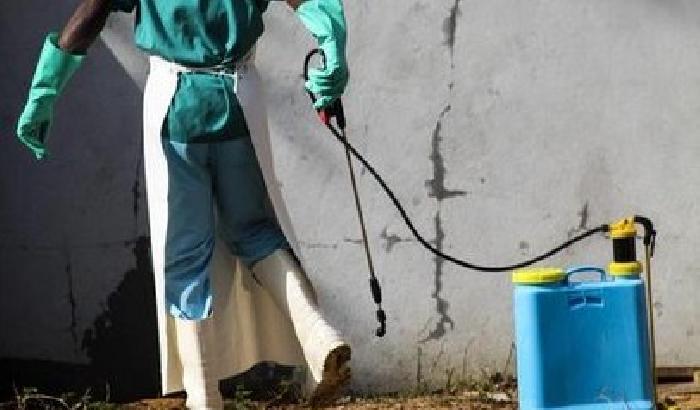 00EF4A-NEWS_124328-1 Ebola, l'Oms: emergenza sanitaria internazionale