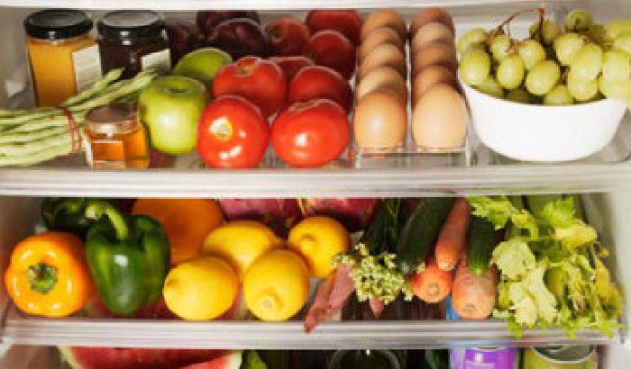 Troppo caldo? Ecco come conservare i cibi