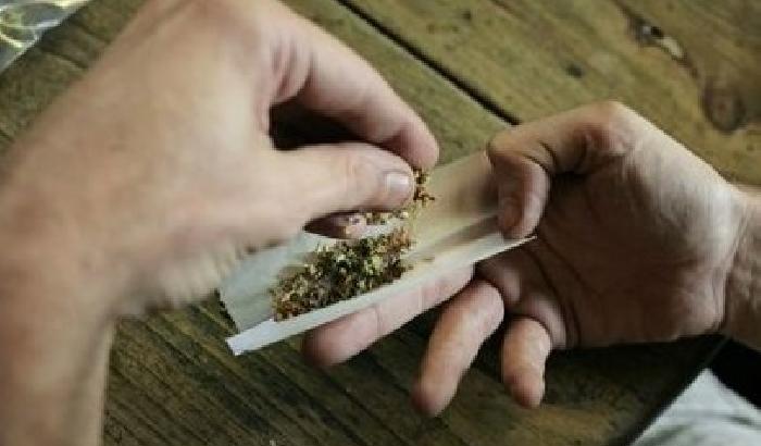 Scuole di Roma: il 75% degli studenti fuma cannabis