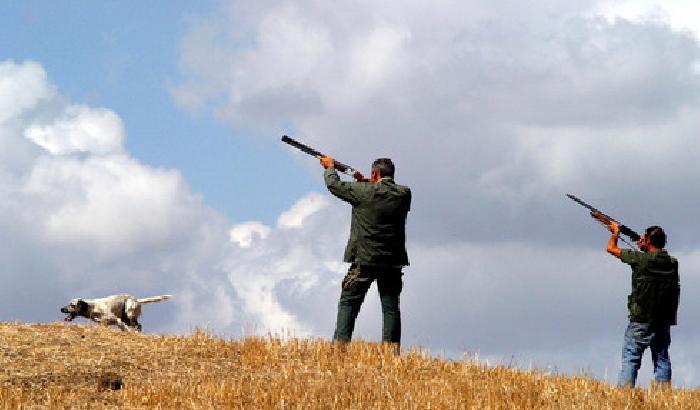Scambia il fratello per un cinghiale: battuta di caccia finisce in tragedia