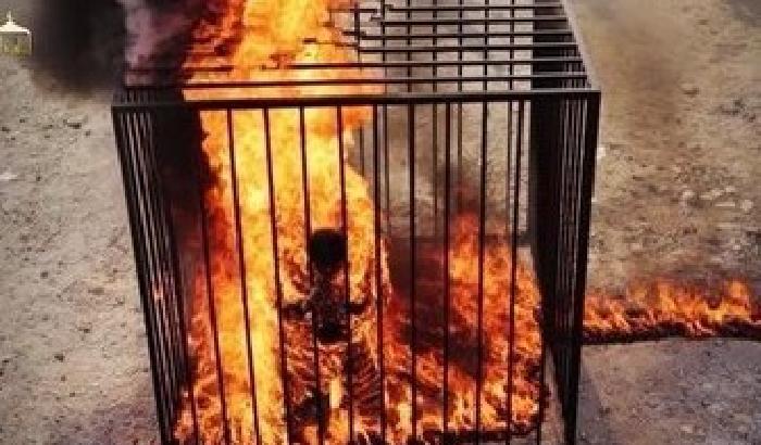 Nuovo video dell'Isis: pilota giordano arso vivo