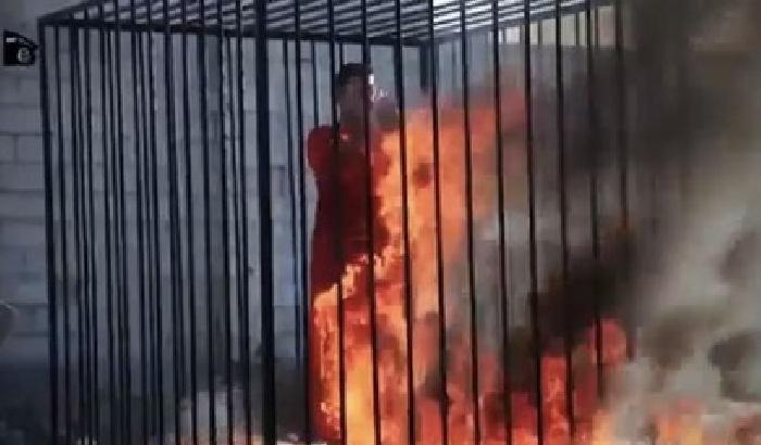 010D14-pilota-giordano-arso-vivo-dall-isis Pilota giordano arso vivo dall'Isis