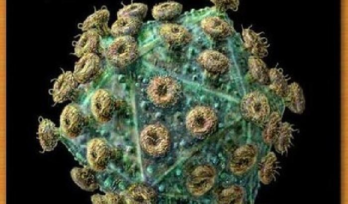 Scoperta sostanza in grado di bloccare il virus dell'Hiv