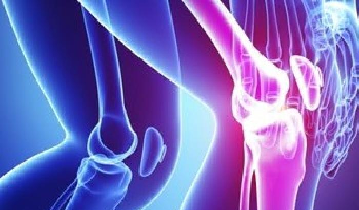 Arriva la cartilagine in provetta