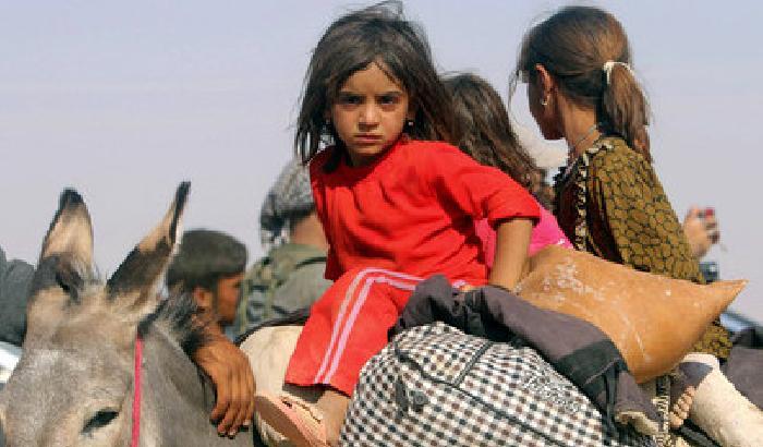 01153E-NEWS_143765 Per l'Onu quello dell'Isis è genocidio contro gli yazidi