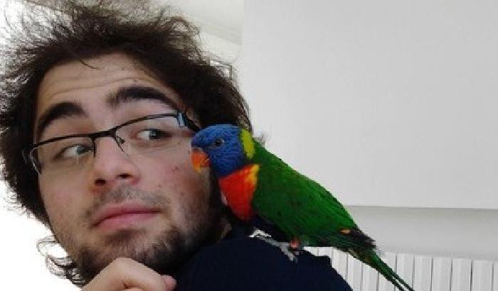 Domenico Maurantonio