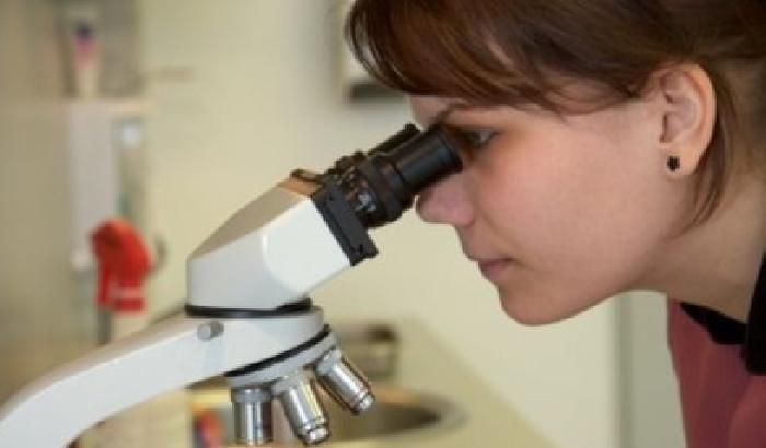 Nuove cure contro il cancro dagli Usa