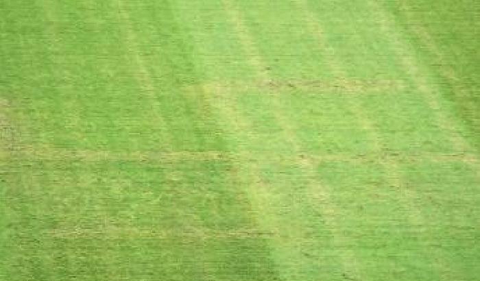 Croazia-Italia, la Uefa apre un'inchiesta per la svastica in campo