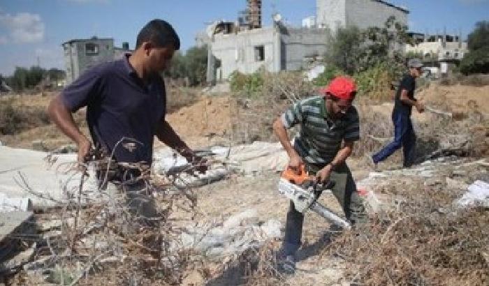 Pioggia di diserbanti israeliani su Gaza