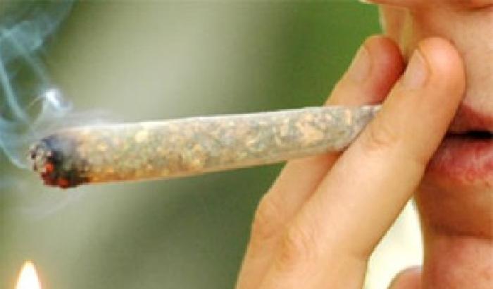 Cannabis legale o no?