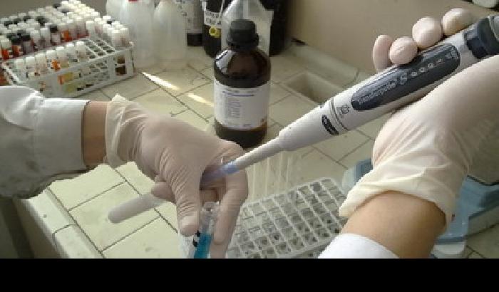 01573C-NEWS_179590 Nel 2025 4 milioni nuove diagnosi di cancro