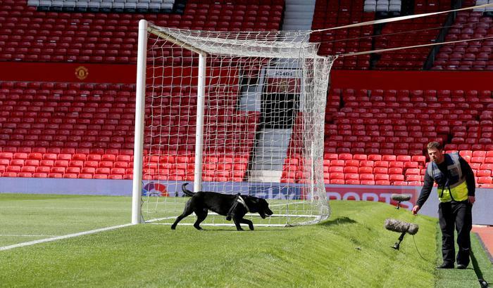 Un cane annusa il prato dell'Old Trafford dopo che la partita tra Manchester United e Bournemouth e' stata rinviata a causa di un pacco sospetto