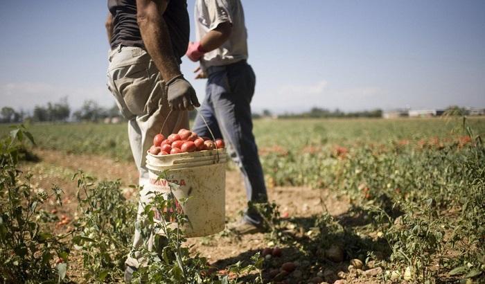 Caporalato, il ddl è legge