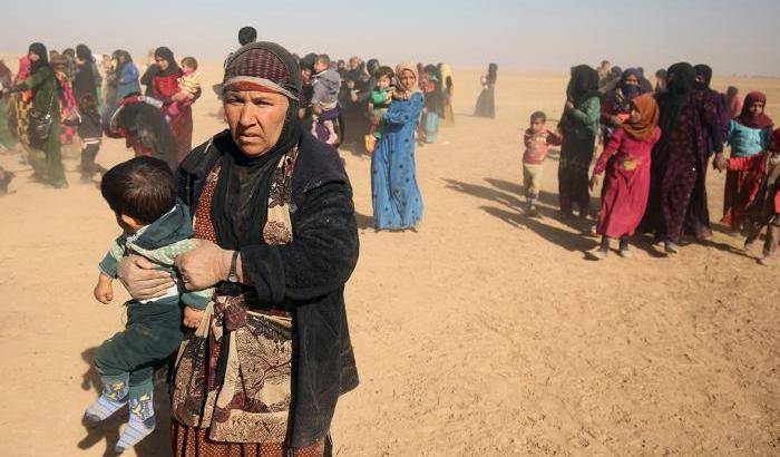 Sfollati da Mosul