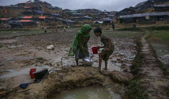 Rohingya