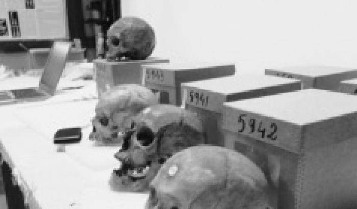 I crani dei combattenti algerini nel Museo dell'Uomo di Parigi