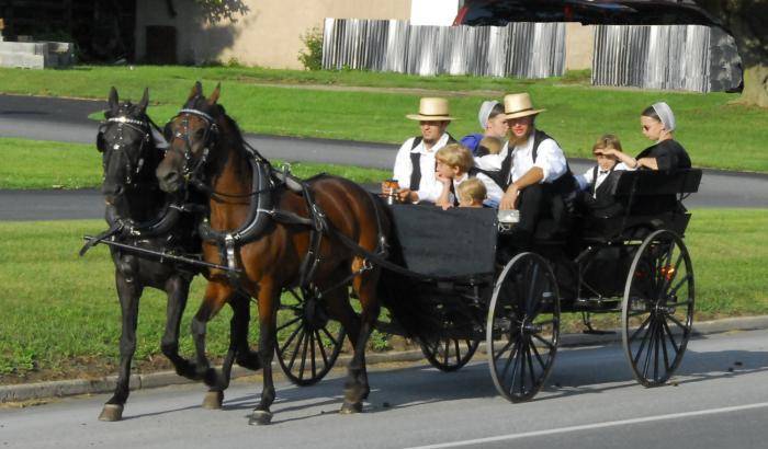 Famiglia Amish sul calesse