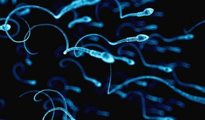 Lo sperma è un ottimo alimento: lo sapevate?