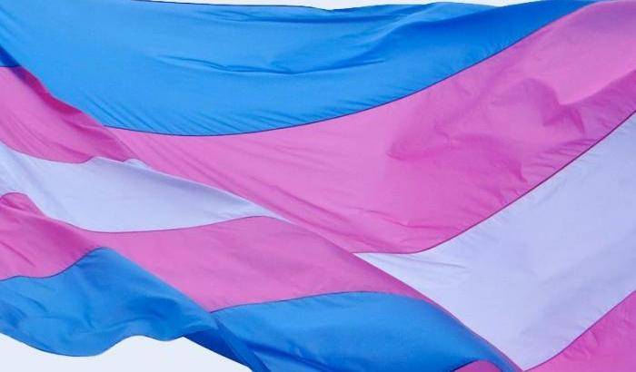 La bandiera simbolo del movimento per i diritti delle persone trans