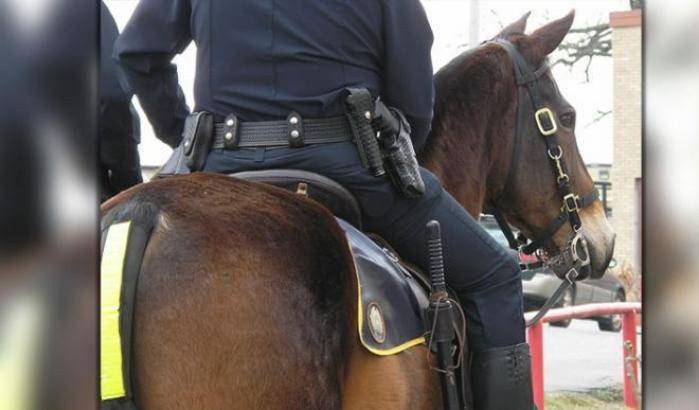 0004E44F-cavallo-della-polizia Cavallo della polizia
