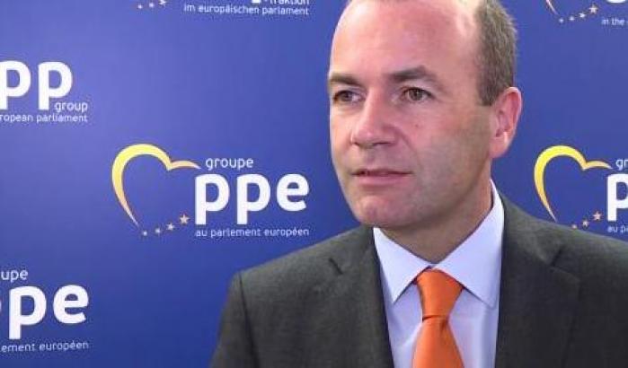 0004E750-manfred-weber Manfred Weber