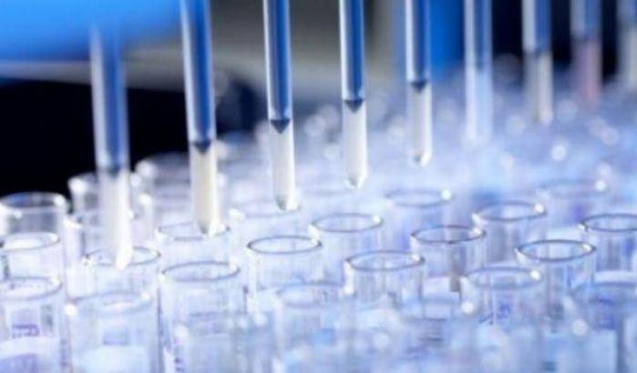 Un test del sangue individua 10 tipi di cancro prima di ammalarsi: la scoperta dei ricercatori Usa