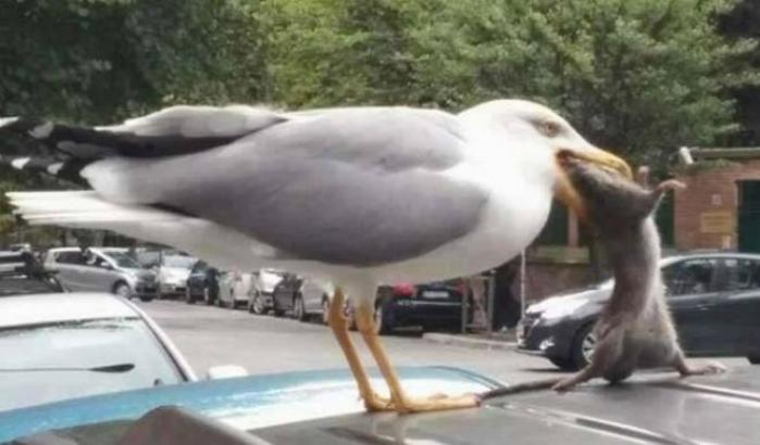 Lo sketch comico di Beppe Grillo: Roma premiata per la raccolta differenziata