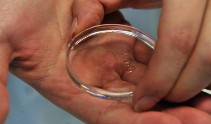 Fertilità, aperta la strada verso lʼovaio artificiale umano
