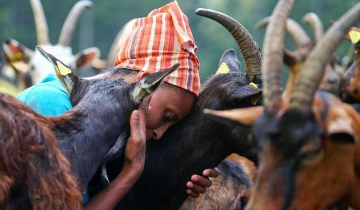 0004F731-la-migrante-etiope-agitu-idea-gudeta-che-vive-nel-trentino La migrante etiope Agitu Idea Gudeta che vive nel trentino