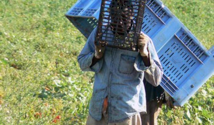 Braccianti d'Africa in Puglia