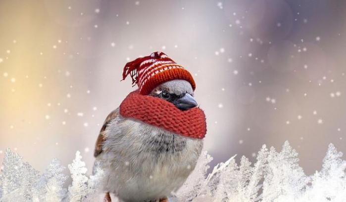 Torna il gelo: piogge e nevicate nel weekend 30-31 gennaio