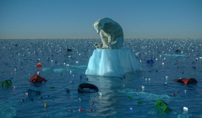 L'inquinamento atmosferico sta per causare la sesta estinzione di massa nel mondo