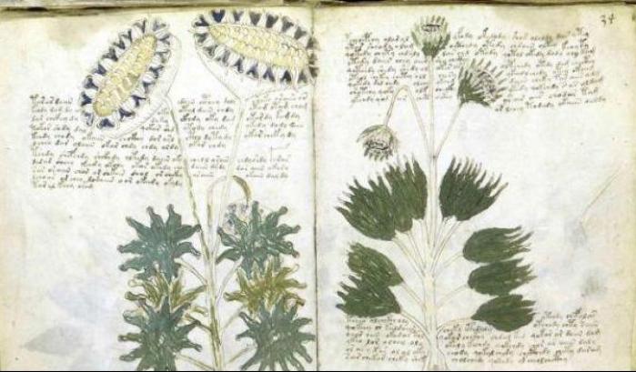 Il manoscritto Voynich