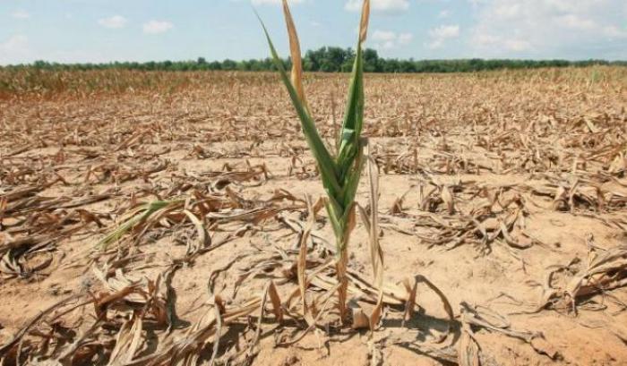 Allarme desertificazione