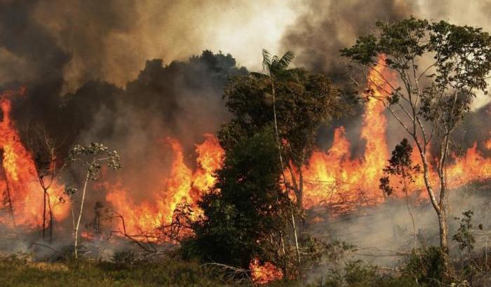 00053A56-amazzonia-in-fiamme Amazzonia in fiamme