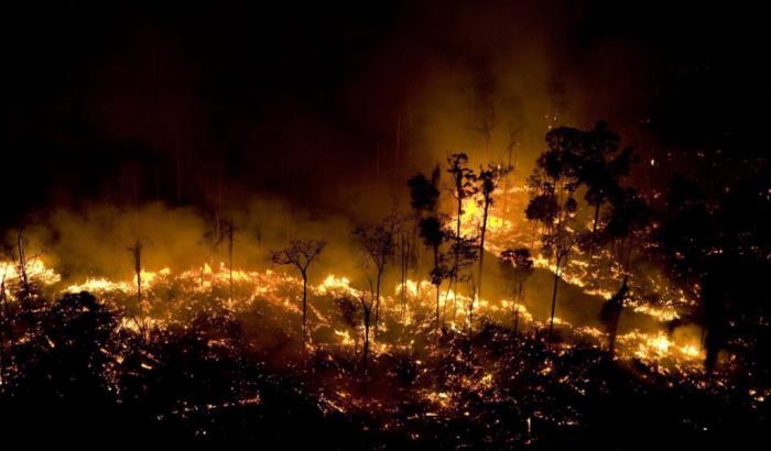 Amazzonia a fuoco