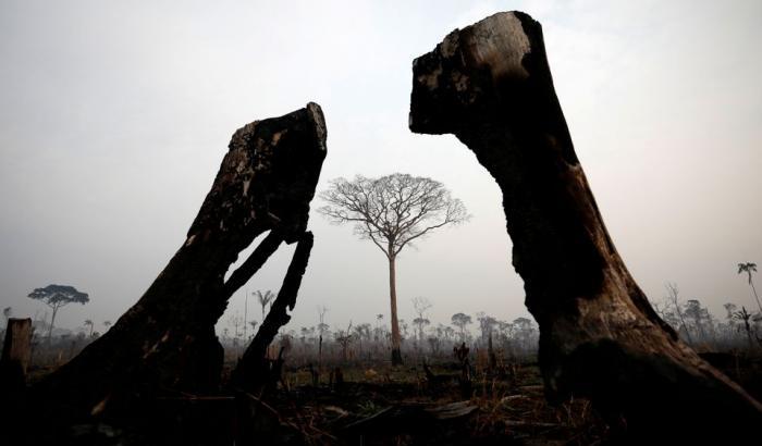 Uno scatto dall'Amazzonia in fiamme